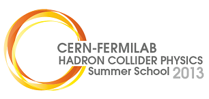 2013 CERN-Fermilab HCP Summer School