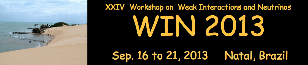 XXIV Workshop on  Weak Interactions and Neutrinos - WIN'13