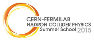 2015 CERN-Fermilab HCP Summer School