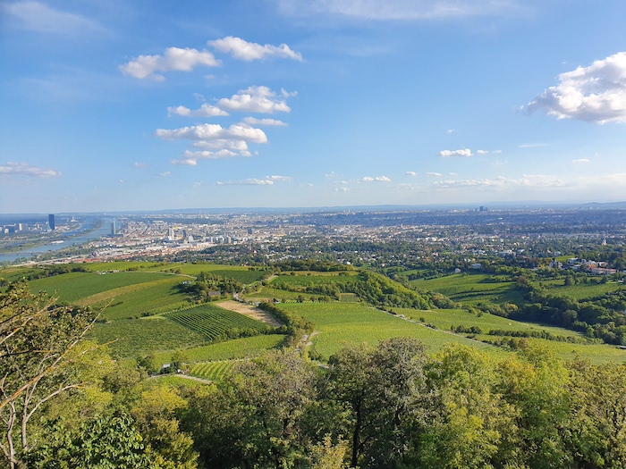 Picture of Vienna; taken from Kahlenberg