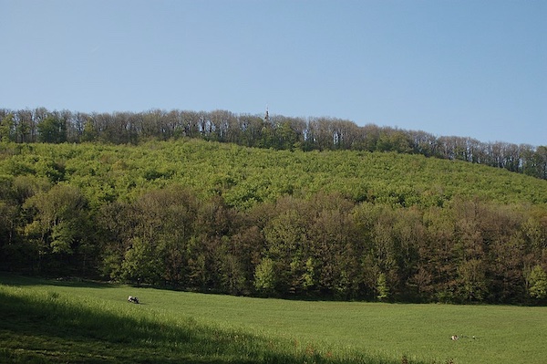 View of the Wienerwald