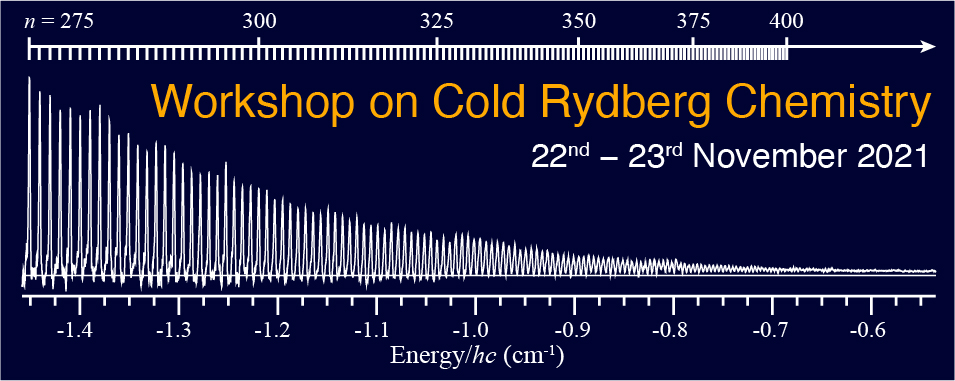 Workshop on Cold Rydberg Chemistry