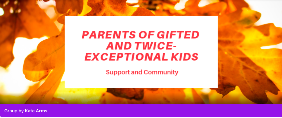 CMS Virtual Visit of Parents of Gifted and Twice Exceptional Kids