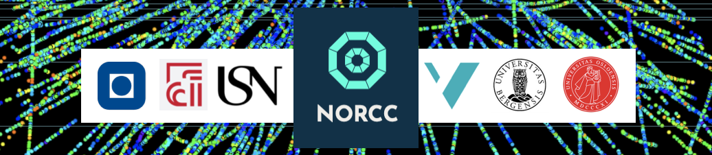 NorCC: Workshop