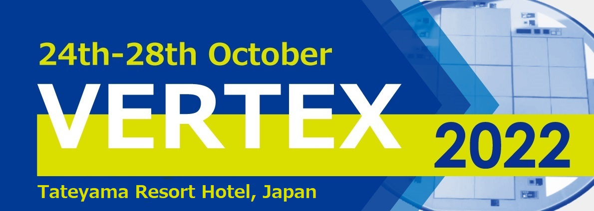 The 31st International Workshop on Vertex Detectors