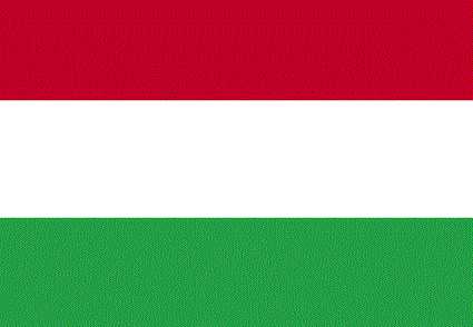 CMS Virtual Visit with Hungary
