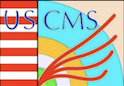 USCMS Undergraduate Summer Internship 2022