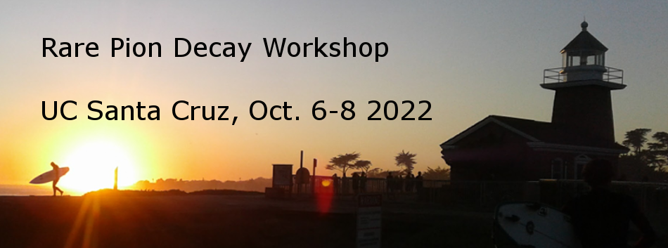 Rare Pion Decay Workshop