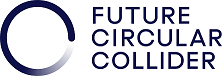 6th FCC Physics Workshop