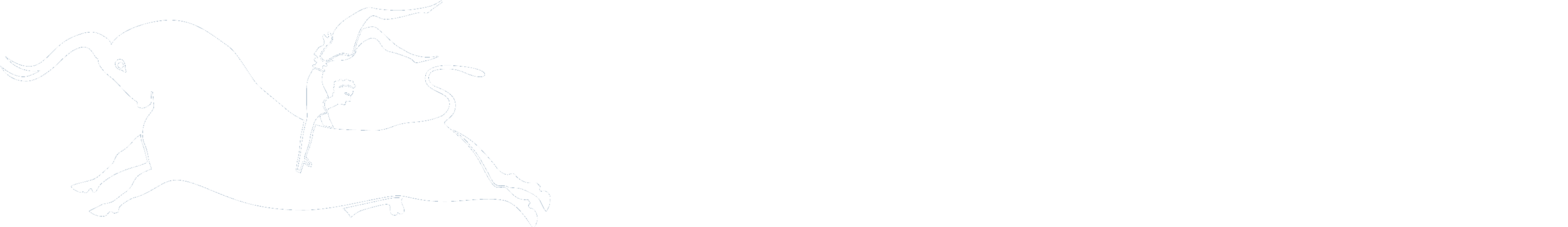 XIII International Conference on New Frontiers in Physics 2024