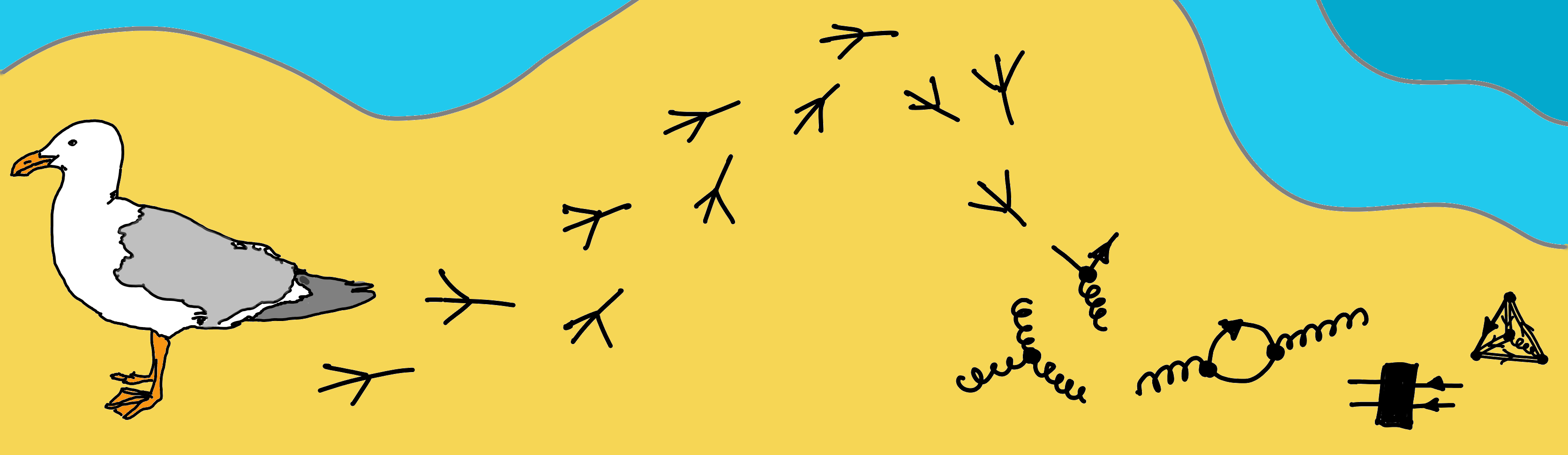 drawing: birdtrack diagrams and "real" birdtracks at a beach