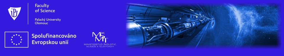 CZ+SK HEP 2024 Workshop