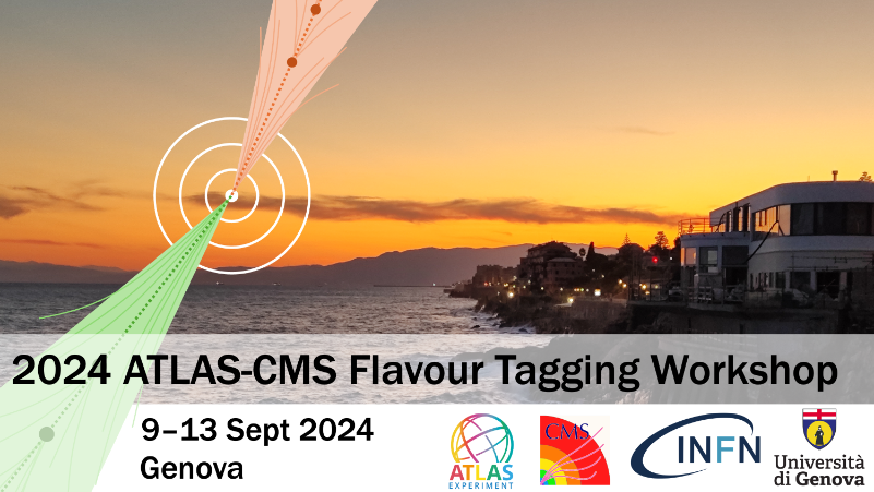 2024 ATLAS-CMS Flavour Tagging Workshop