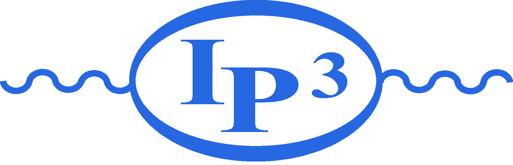 IPPP logo