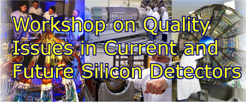 Workshop on Quality Issues in Current and Future Silicon Detectors