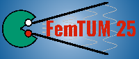 FemTUM 2025 - Femtoscopy Experimentalists Meet the Theorists