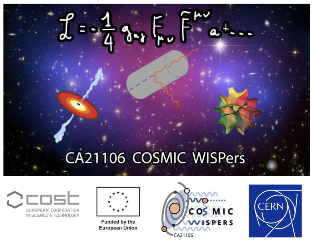 COSMIC WISPers Working Group Meeting