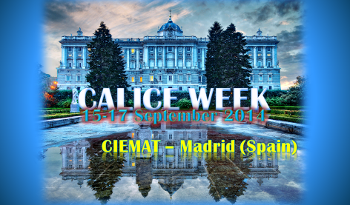 CALICE Week @ Madrid