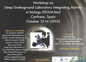 Deep Underground Laboratory Integrated Activity in biology (DULIA-bio)