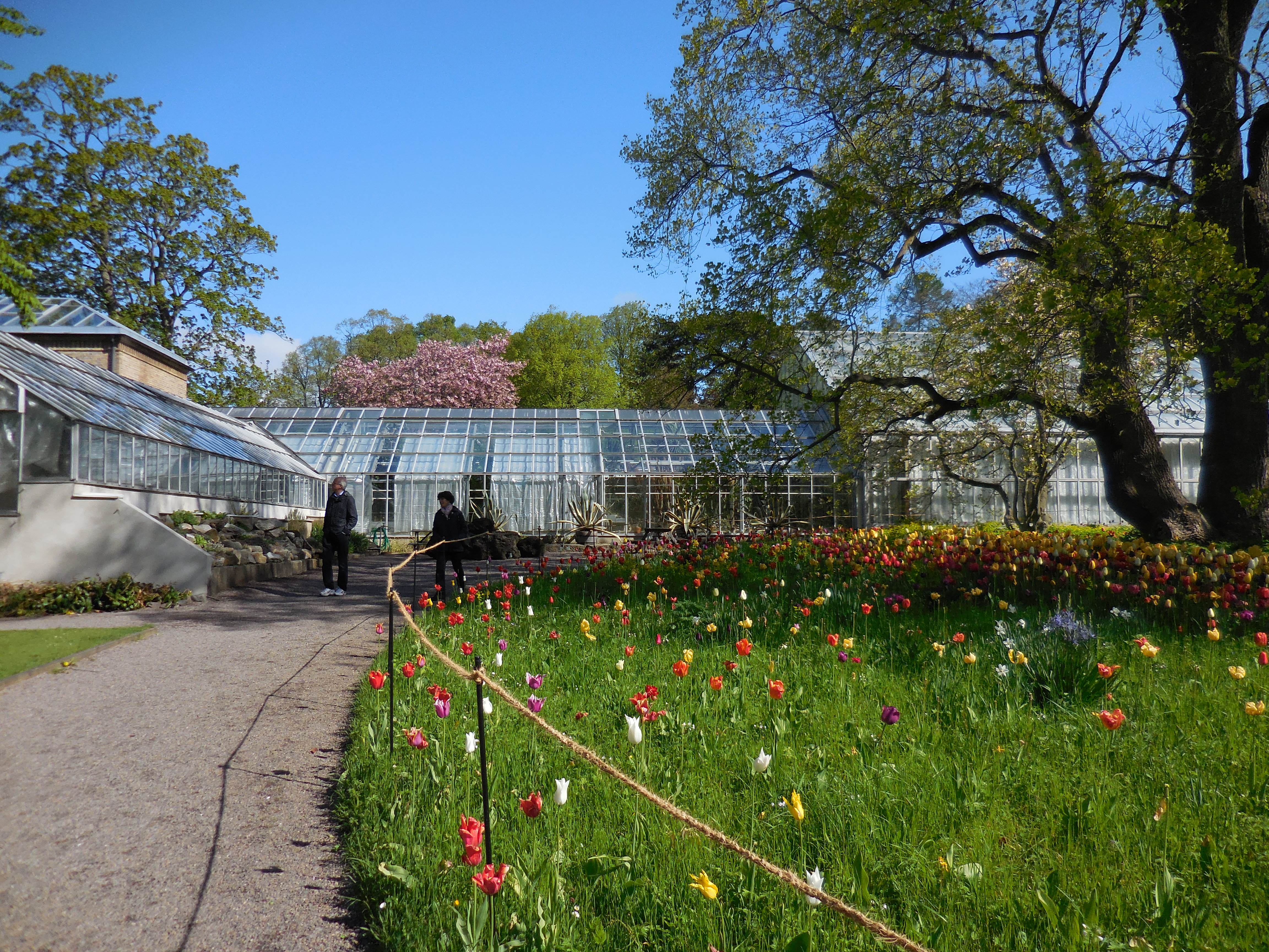 Lund botanic garden