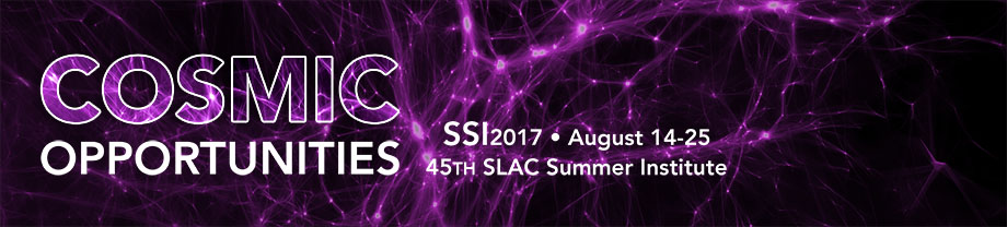 45th SLAC Summer Institute