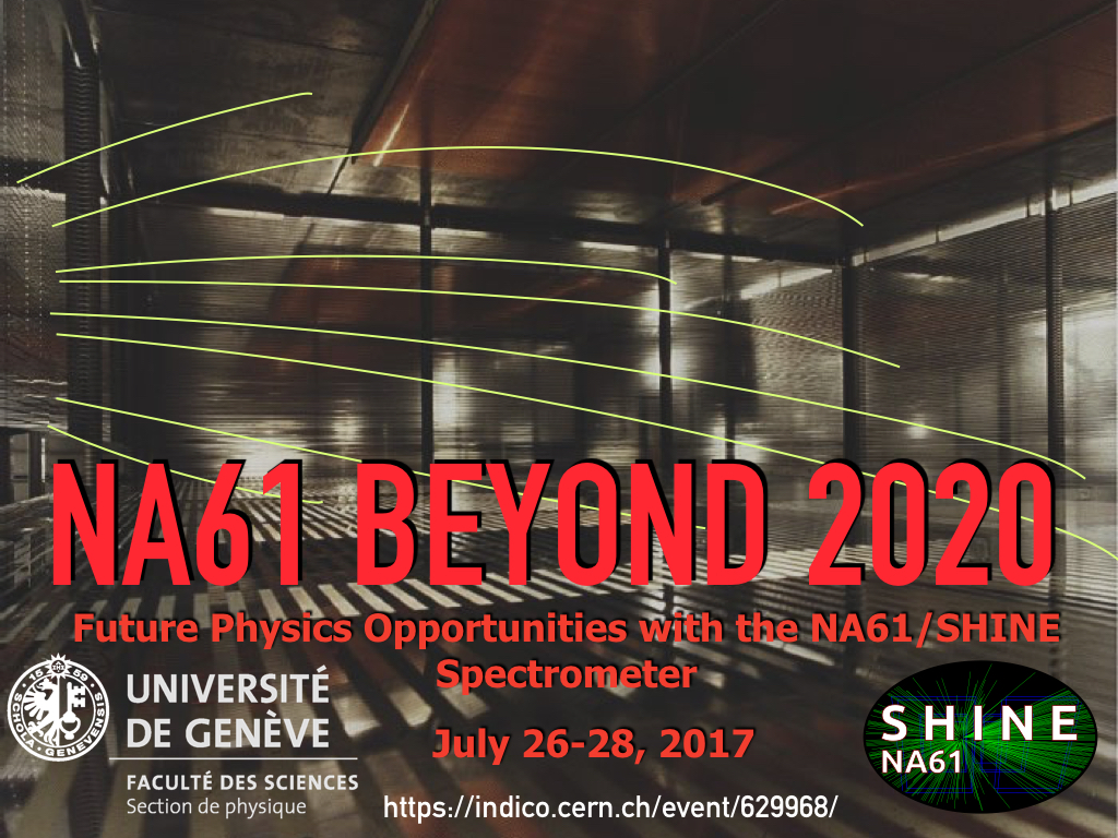 NA61/SHINE Beyond 2020 Workshop