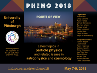 Phenomenology 2018 Symposium