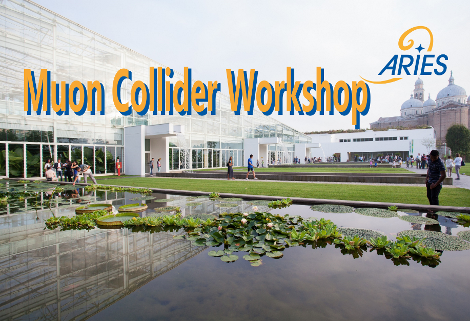 Muon Collider Workshop 2018