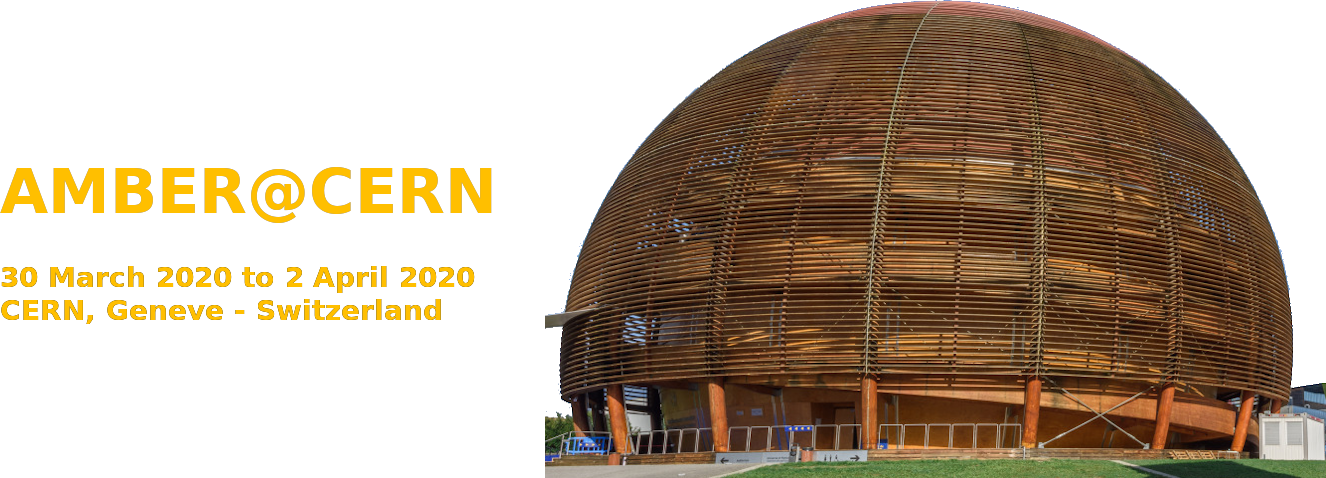 First workshop on "Perceiving the Emergence of Hadron Mass through AMBER@CERN" (EHM2020/1)