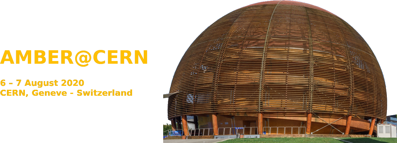 Second workshop on "Perceiving the Emergence of Hadron Mass through AMBER@CERN" (EHM2020/2)