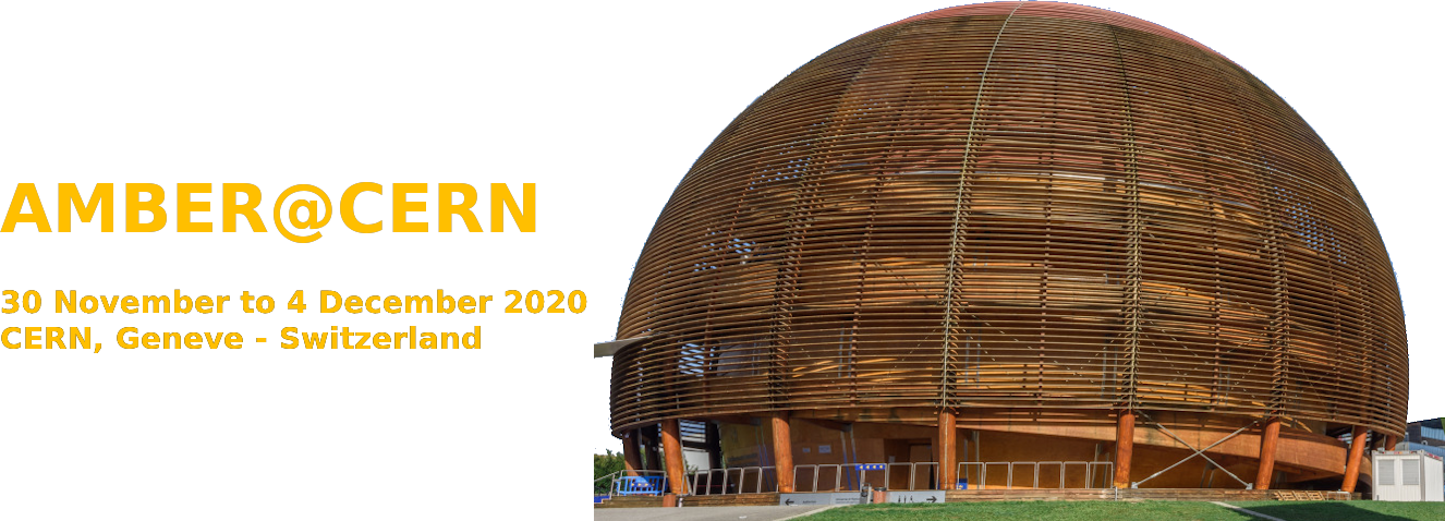 Fourth workshop on "Perceiving the Emergence of Hadron Mass through AMBER@CERN" (EHM2020/3)