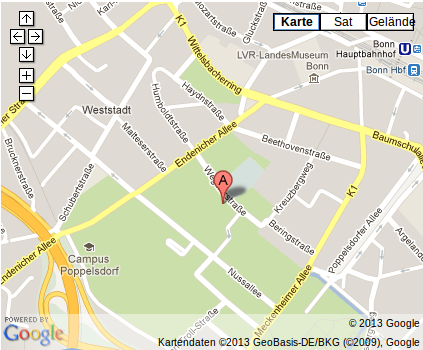Institute address on Google Maps
